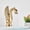 Gold short, variant on Swan Shape Basin Faucet Single Handle Hot Cold Water Mixer Tap One Hole Deck Mount Gold/Antique Brass/Black Bronze Water Tap