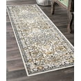 thumbnail image 1 of ECARPET Washable Oriental Area Rug & Runner for Kitchen, Bedside, Living Room, Bedroom, Hallway, 1 of 9