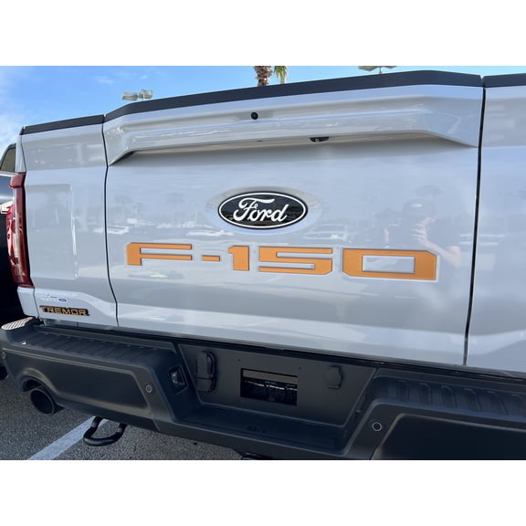 Tailgate Letter Inserts - Fits 2024-2026 Ford F-150 w/Pro Access Tailgate