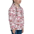 thumbnail image 3 of Goofa Kawaii Pig Pattern Hooded Sweatshirt for Youth Trendy youth sweatshirt Casual Hoodie for Boys and Girls-X-Large, 3 of 6