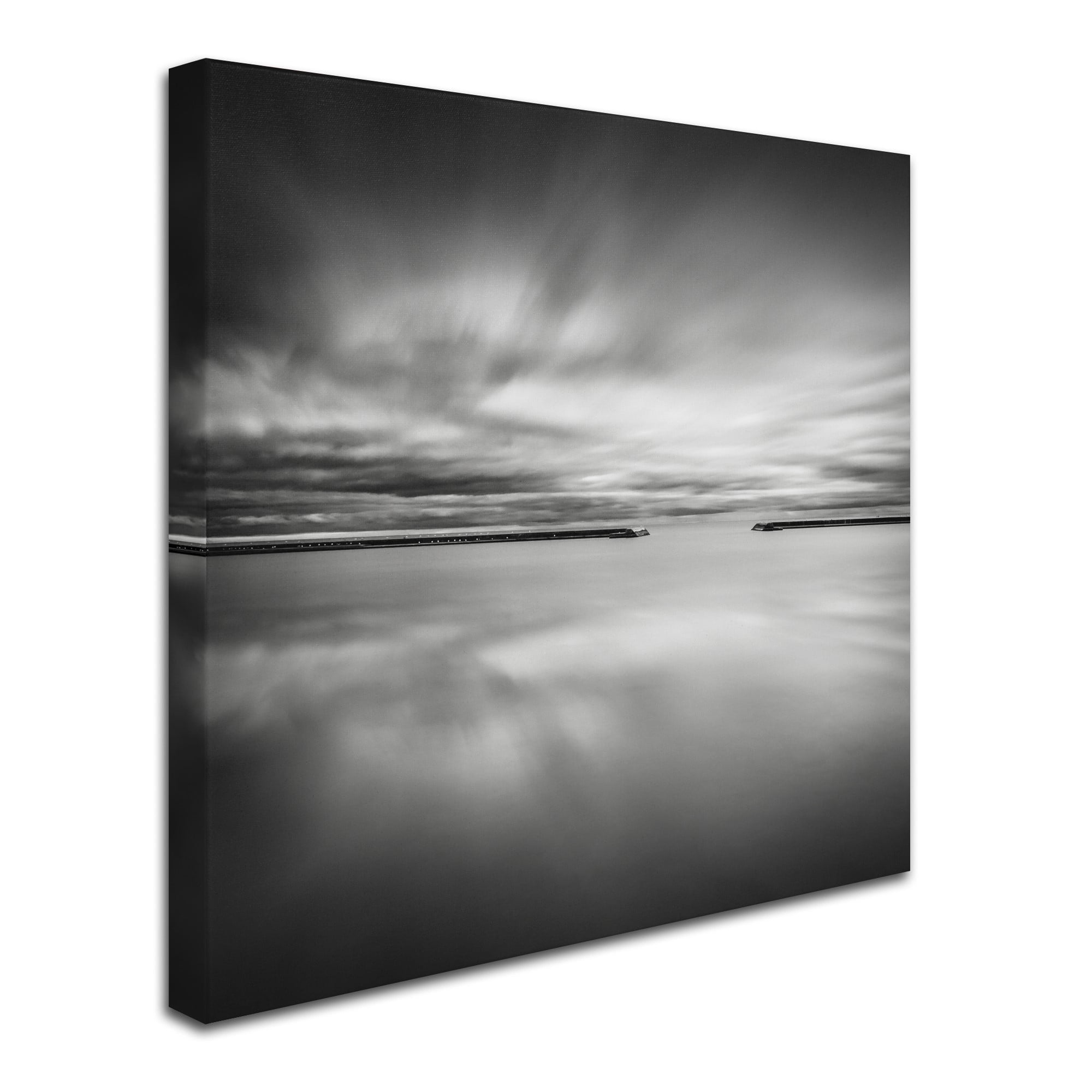 Trademark Fine Art Dave MacVicar 'Double Vision' 24 x 24 (ALI0828-C2424GG)