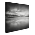 thumbnail image 2 of Trademark Fine Art Dave MacVicar 'Double Vision' 24 x 24 (ALI0828-C2424GG), 2 of 3
