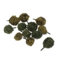 thumbnail image 2 of Mechones de hierba estática autoadhesivos Hugo 3-3,5 cm Studio Grass Tufts Flor silvestre, 2 of 8