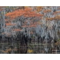 thumbnail image 2 of Head, Danny 24x20 Black Ornate Wood Framed with Double Matting Museum Art Print Titled - Autumn Orange, 2 of 4