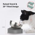 thumbnail image 2 of Comederos inclinados con base antideslizante para mascotas, 2 of 5