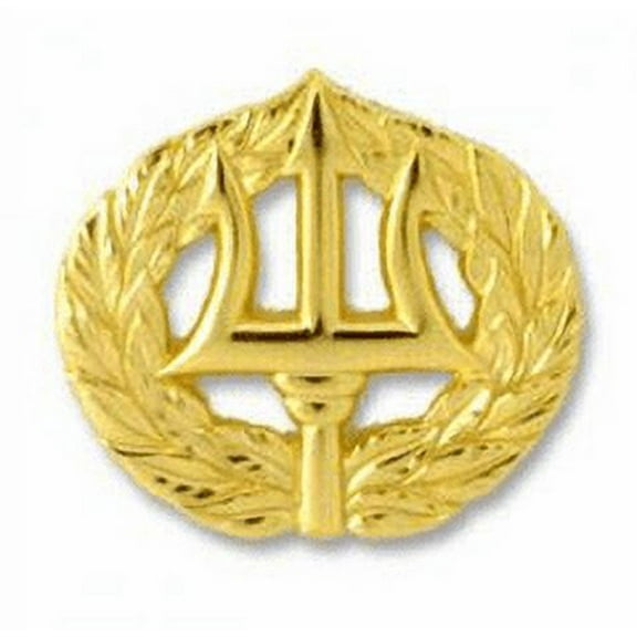 Command Ashore Badge