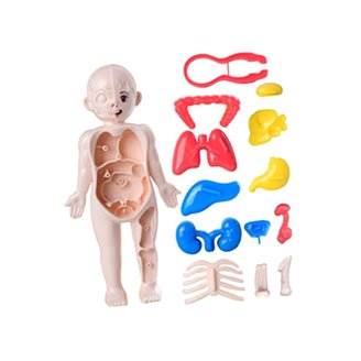 Clementoni The Human Body Science Kit - Educational Anatomy Game For Kids, Multicolored