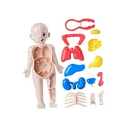 Almencla Human Body Puzzle for Kids Body Parts Organs for Teaching Tool Preschool
