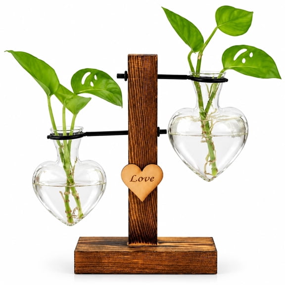Double Heart Glass Hydroponic Propagation Station with Wooden Stand, Removable Vase for Plant Cuttings & Flowers, Desktop Decor for Bedroom, Office, Dining Room