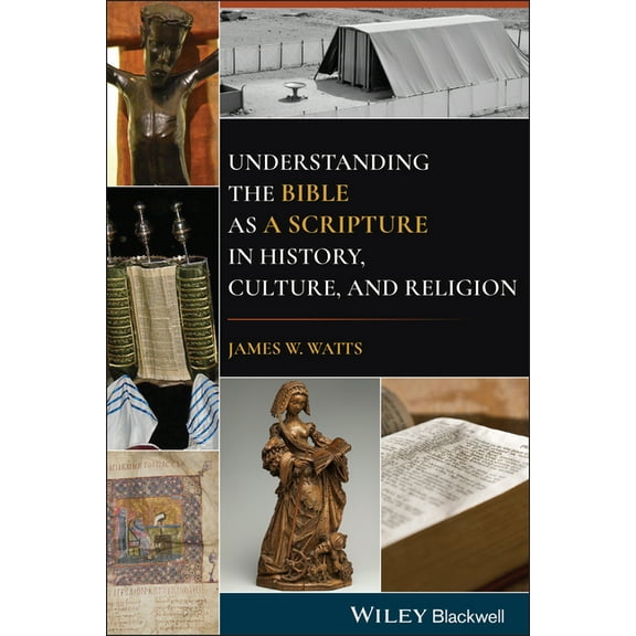 Understanding the Bible as a Scripture in History, Culture, and Religion, (Paperback)