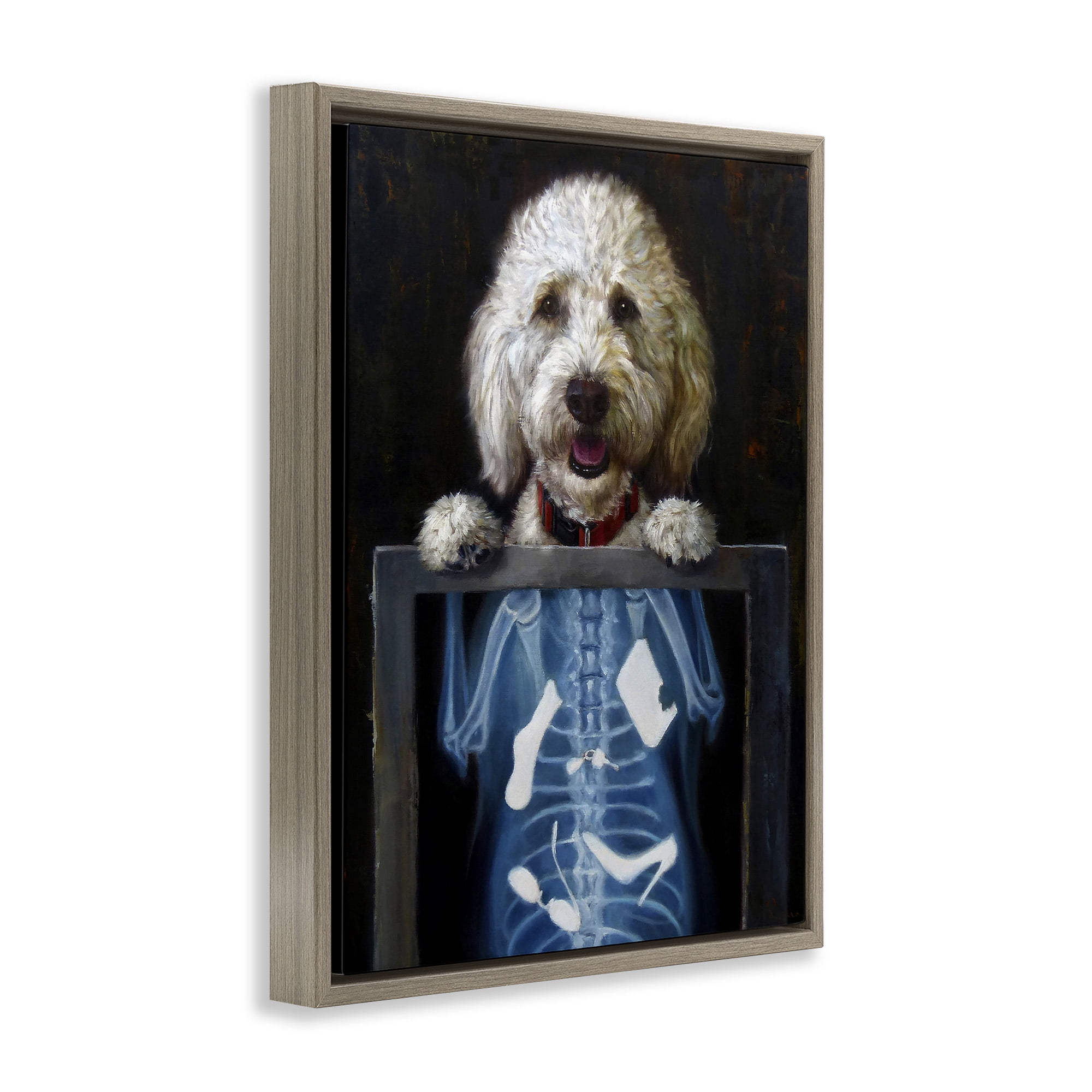 Stupell Industries Funny Dog X-Ray Snacks Animals & Insects Painting Brown Floater Framed Canvas Art Print Wall Art, 25 x 31