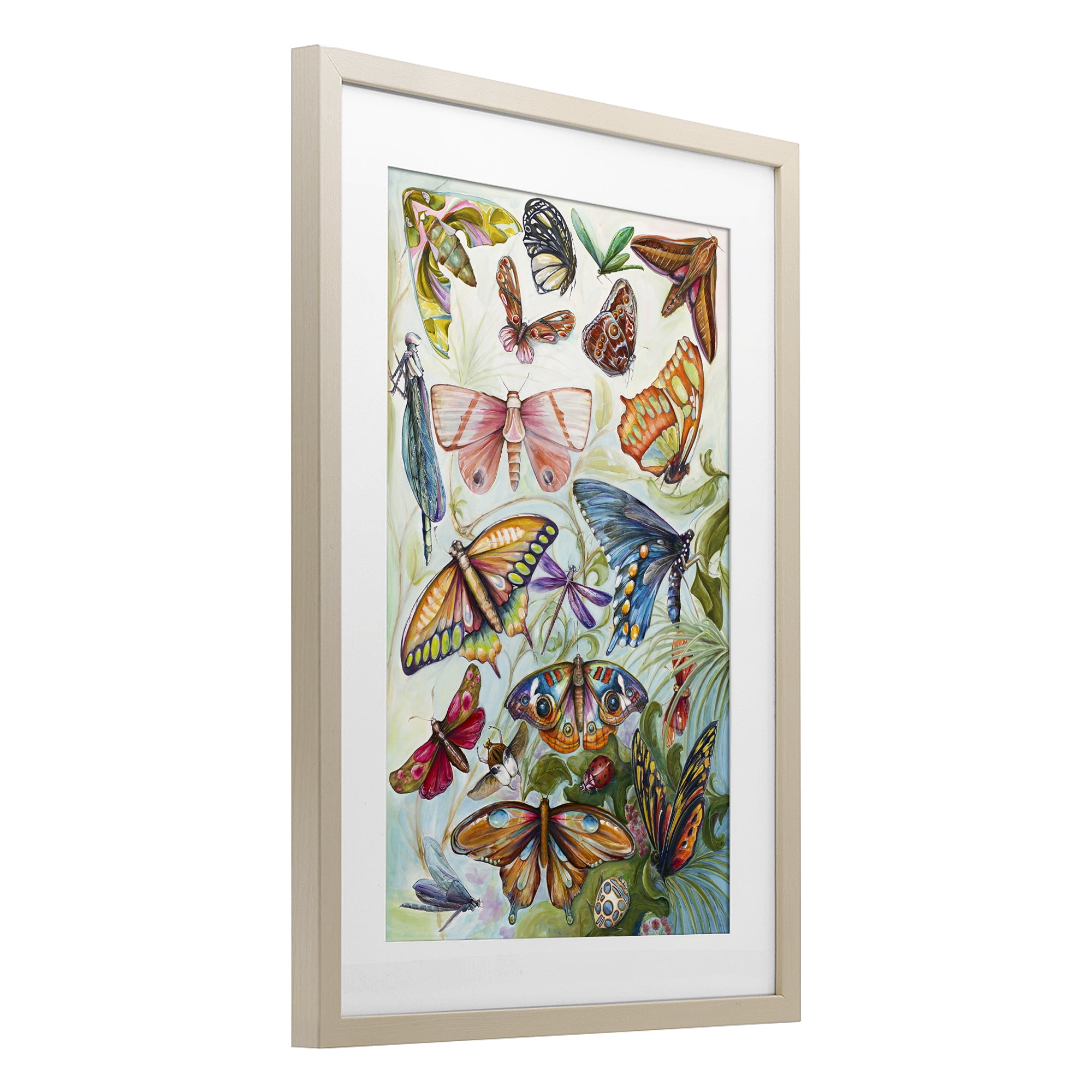 Stupell Industries Colorful Butterfly Conservatory Birch Framed Print Under Glass, design by Diannart