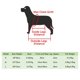 thumbnail image 5 of Pet Sling Backpack, Pet Front Cat Dog Sling Backpack Bolsa de viaje ajustable, Piernas extendidas, Conveniente para perros pequeños Gato Cachorro Viajes Senderismo Camping Ormromra 2034806-5, 5 of 8
