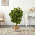 thumbnail image 2 of Nearly Natural 4' Schefflera Artificial Tree in Woven Planter (Real Touch), 2 of 3