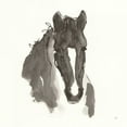 thumbnail image 2 of Paschke, Chris 15x15 White Modern Wood Framed Museum Art Print Titled - Horse Portrait III, 2 of 4