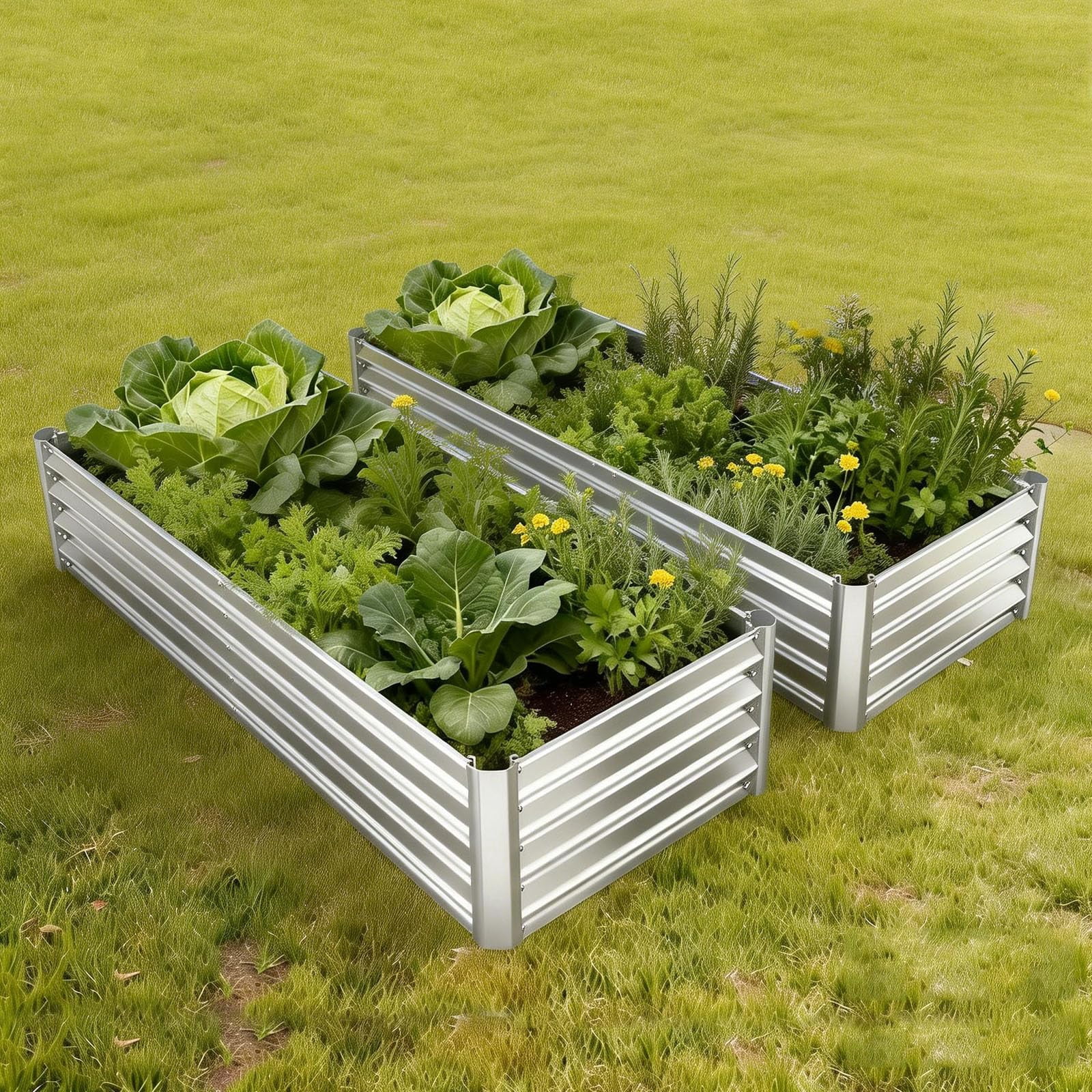 Garvee 2 Pack Galvanized Raised Garden Beds, 6x1.5x1 ft Outdoor Metal Planter Boxes for Vegetables, Flowers and Herbs, Suitable for Backyard use.