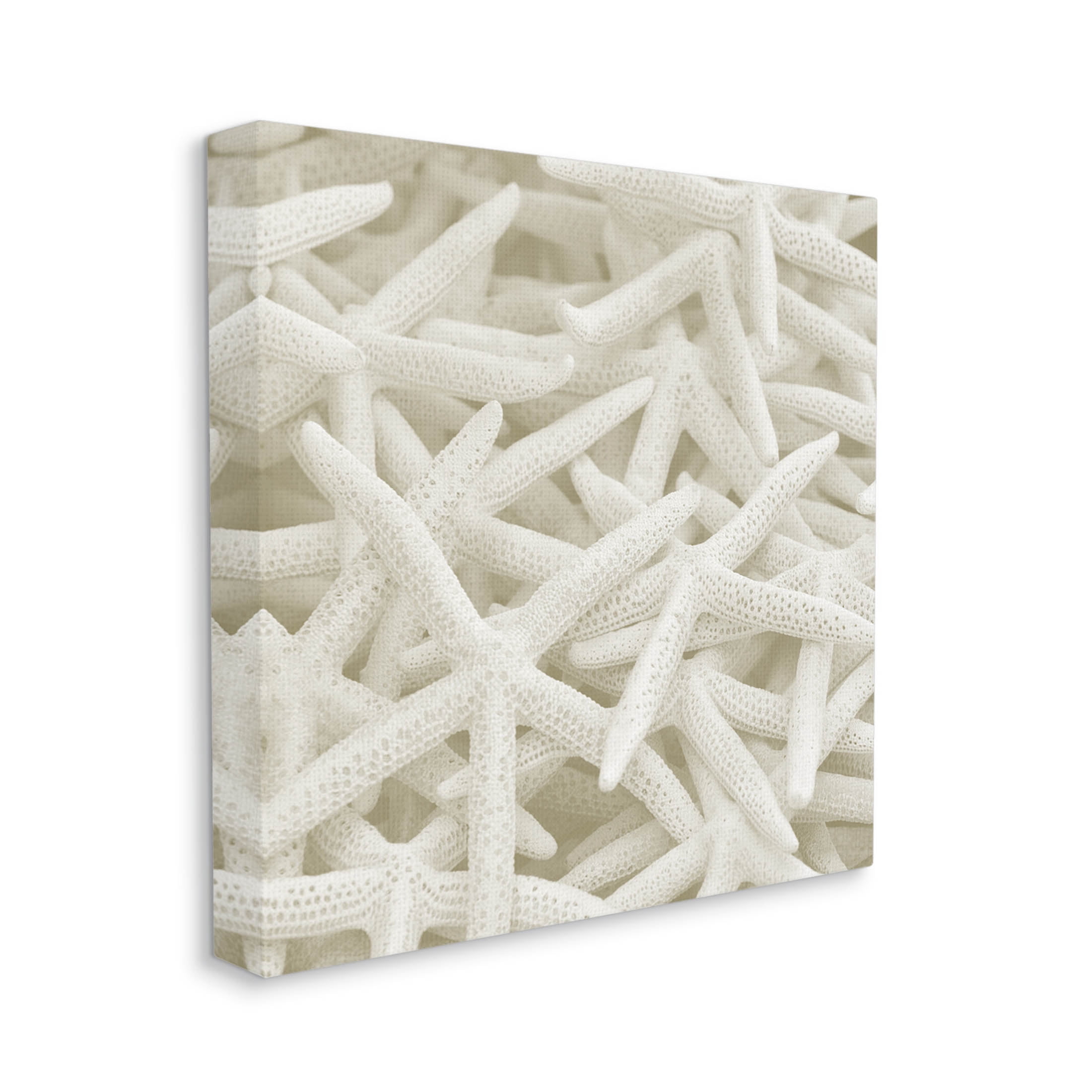 Nautical White Starfish Photography Coastal Photograph Gallery Wrapped Canvas Print Wall Art