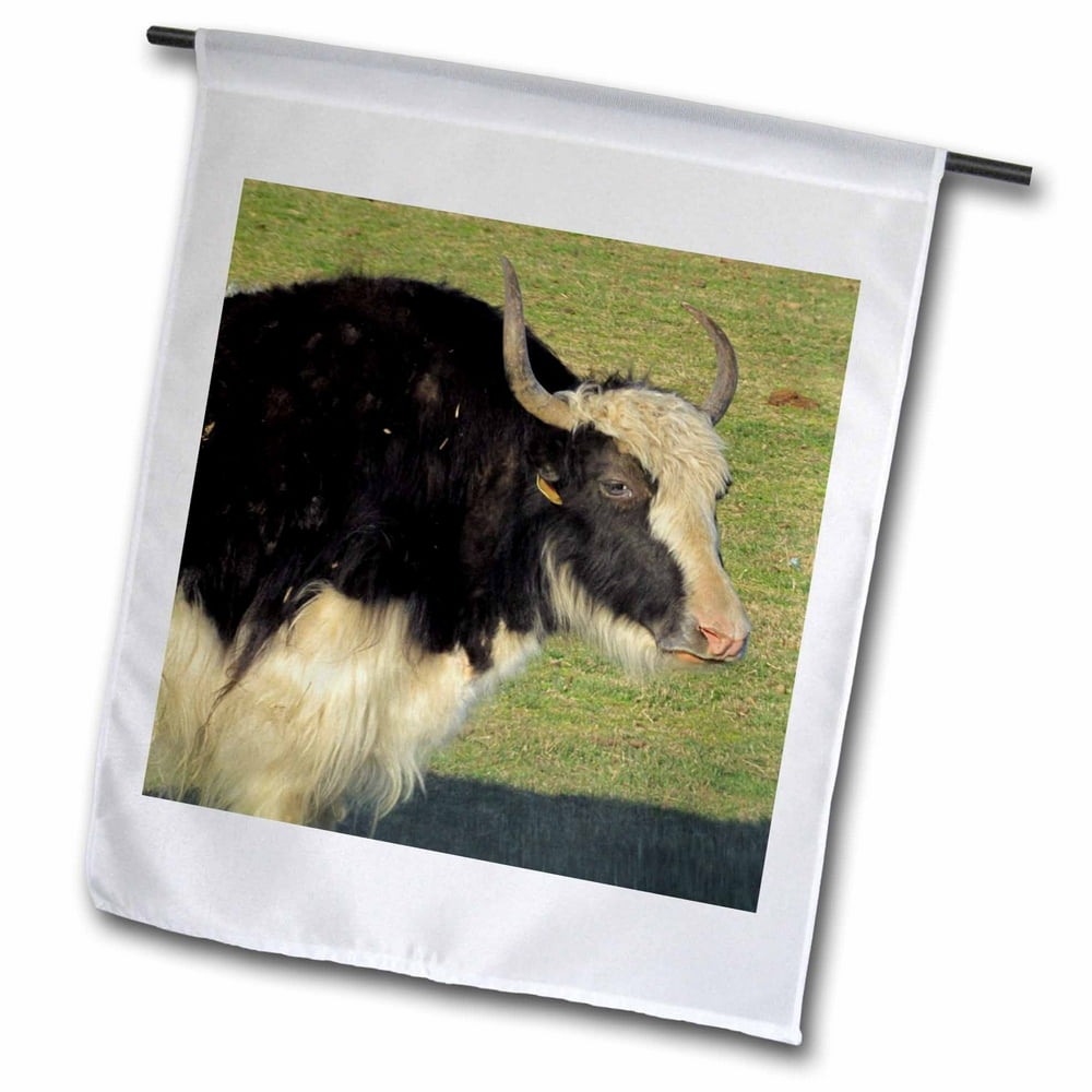 3dRose Scottish Highland Cow - Garden Flag, 12 by 18-inch - Walmart.com