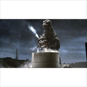 The Return of Godzilla (DVD)