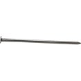 thumbnail image 1 of 60D Bright Commercial Nail - 50 lbs, 1 of 1