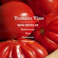thumbnail image 5 of Mrs. Meyer’s Clean Day Hand Soap, Tomato Vine Scent, 12.5 Fl Oz, 5 of 9