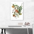 thumbnail image 2 of ARTCANVAS Ruby Throated Humming Canvas Art Print by John James Audubon - Size: 26" x 18" (1.50" Deep), 2 of 9