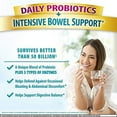 thumbnail image 5 of Digestive Advantage Intensive Bowel Support, 96 Capsules (Pack of 2), 5 of 9