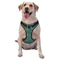 thumbnail image 1 of Balery Green Christmas Arnés para Perros Grandes Antitirones, Arnés con Correa para Gato, Arnés Tipo Chaleco para Perros Pequeños-Large, 1 of 6