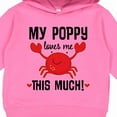 thumbnail image 3 of Inktastic My Poppy Loves Me Grandchild Toddler Hoodie, 3 of 4