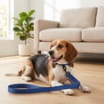 thumbnail image 3 of Vibrant Life 6' Solid Polyester Leash, Blue, M/L, 3 of 10