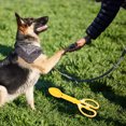 thumbnail image 3 of Recogedor de excrementos para perros, herramienta para la gestión de desechos de perros, mango largo, recogedor de desechos para mascotas para una fácil limpieza, uso en exteriores, 3 of 6