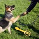 thumbnail image 3 of Recogedor de excrementos para perros, herramienta para la gestión de desechos de perros, mango largo, recogedor de desechos para mascotas para una fácil limpieza, uso en exteriores, 3 of 6