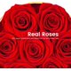 thumbnail image 2 of Rosas preservadas en Caja - Flores para Siempre, Rosas para Siempre para Mujer, Rosas para Siempre en Caja, Regalos para Ella (Rojo), 2 of 4