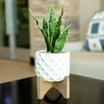 thumbnail image 2 of Flora Bunda Large 12" Realistic Looking Artificial Snake Plant in Dimple Ceramic Pot with Wooden Stand for Outdoor Indoor Home or Office D√©cor Artificial Plant, Fake Plant, 2 of 4