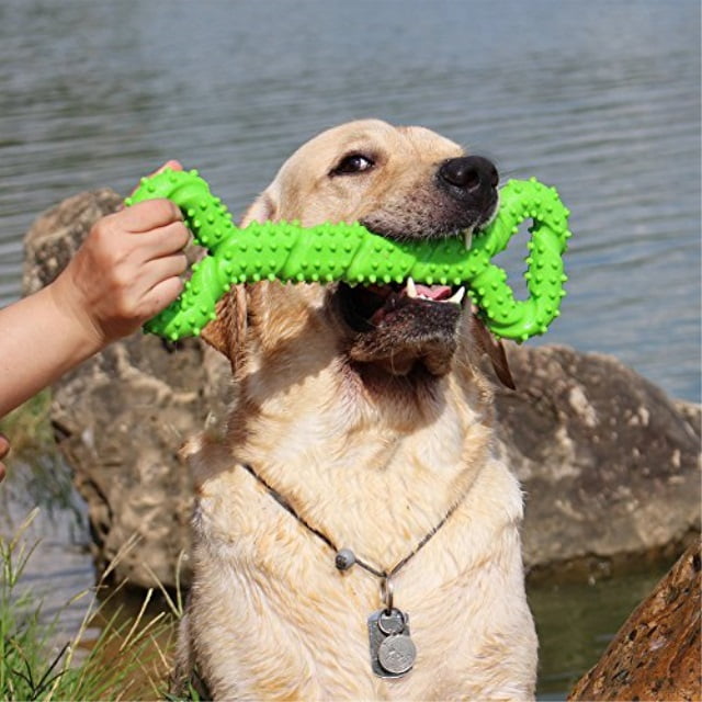 BLUEISLAND Durable Dog Chew Toys 13 Inch Bone Shape Extra Large Dog Toys with Convex Design