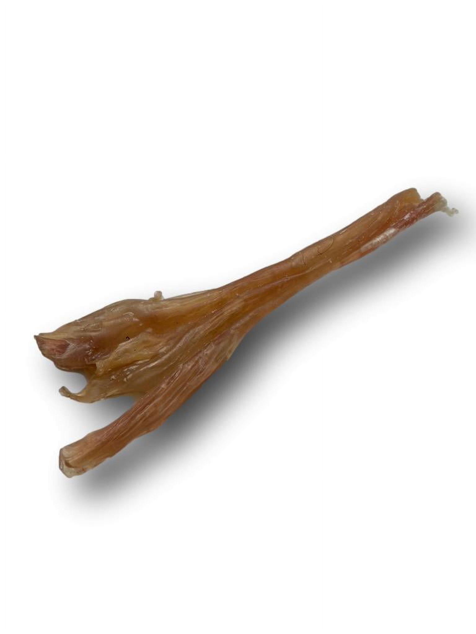 Beef Tendon Dog Treat - Straight Wishbone 7"-10"