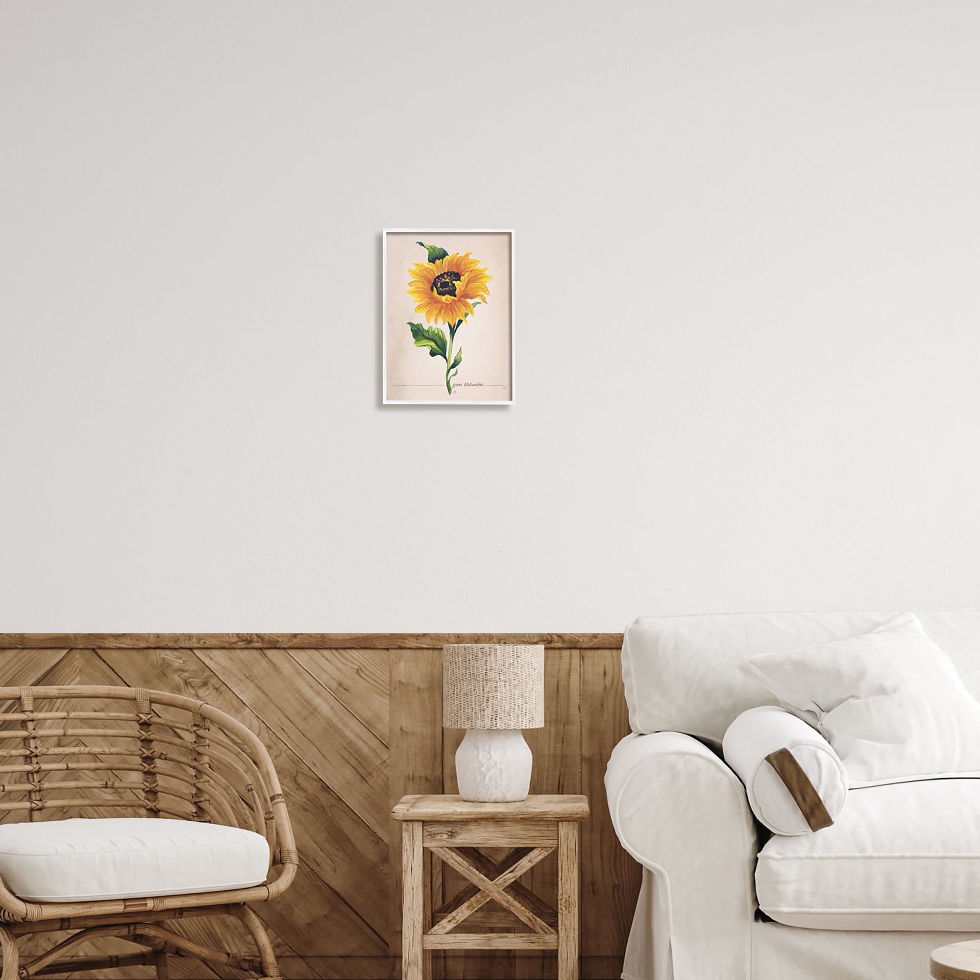 Stupell Industries Single Sunflower Blossom Genus Name Study Page Graphic Art White Framed Art Print Wall Art, Design by Elizabeth Medley