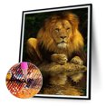 thumbnail image 2 of Diamond Painting 5D DIY Full Round Drill Lion Kit Decoración del hogar Craft (sz3018) FLhrweasw Nuevo, 2 of 9