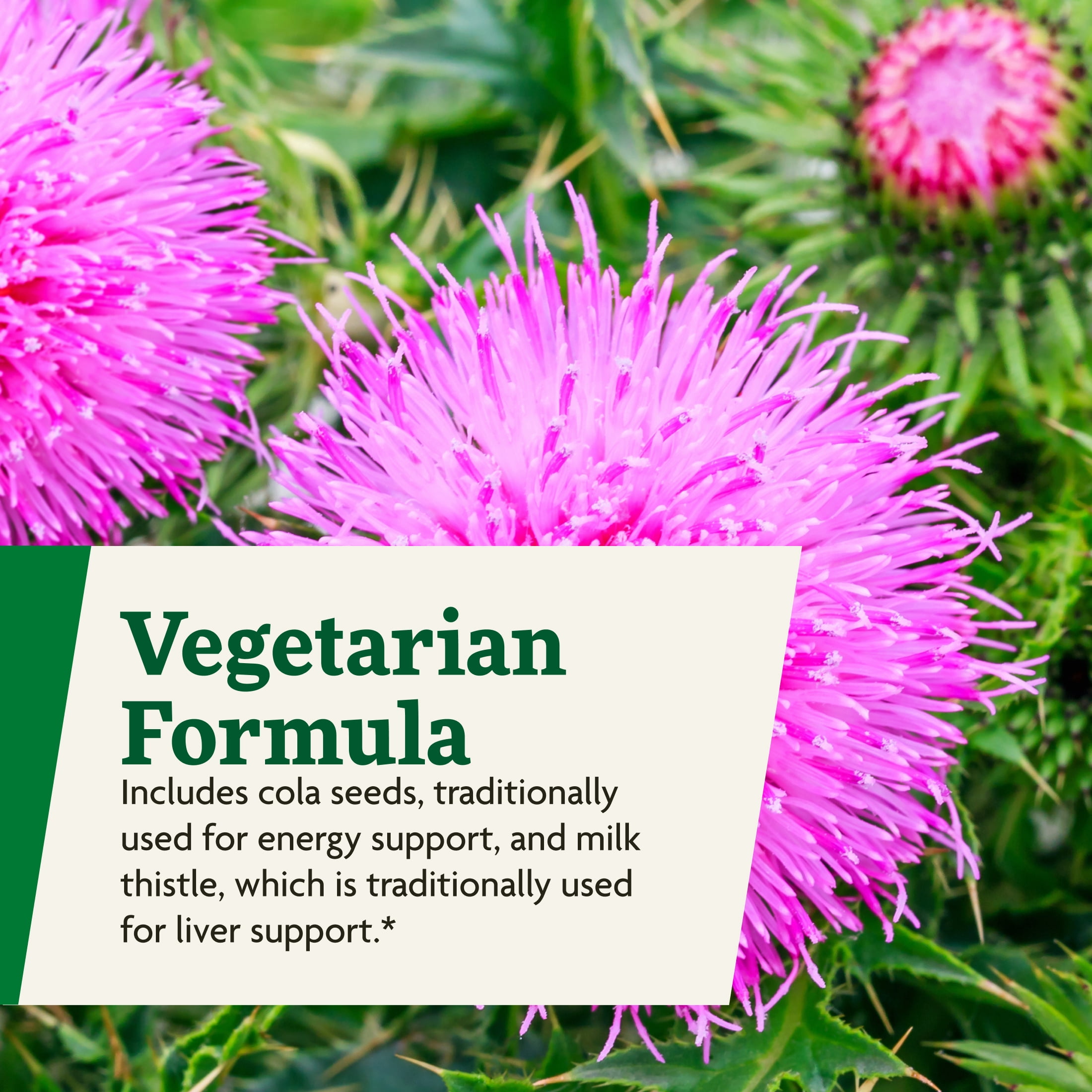 Floradix Epresat Adult Liquid Multivitamin - Herbal Supplement - Daily Supplement with Vitamin A, D, B6, Milk Thistle & More - Supports Energy & Liver Health - Vegetarian, Non-GMO - 8.5 fl oz