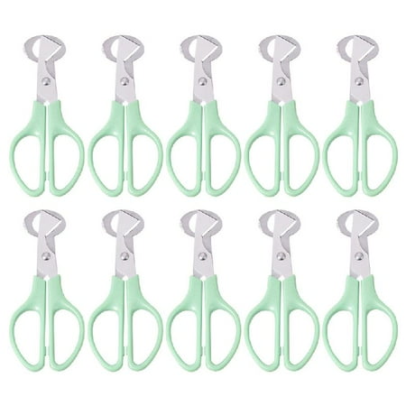 

QUSENLON 10Pcs Stainless Steel Quail Egg Cutter Scissors for Pigeon Bird Quail Egg Cutter Opener Cracker Kitchen Clipper Tool