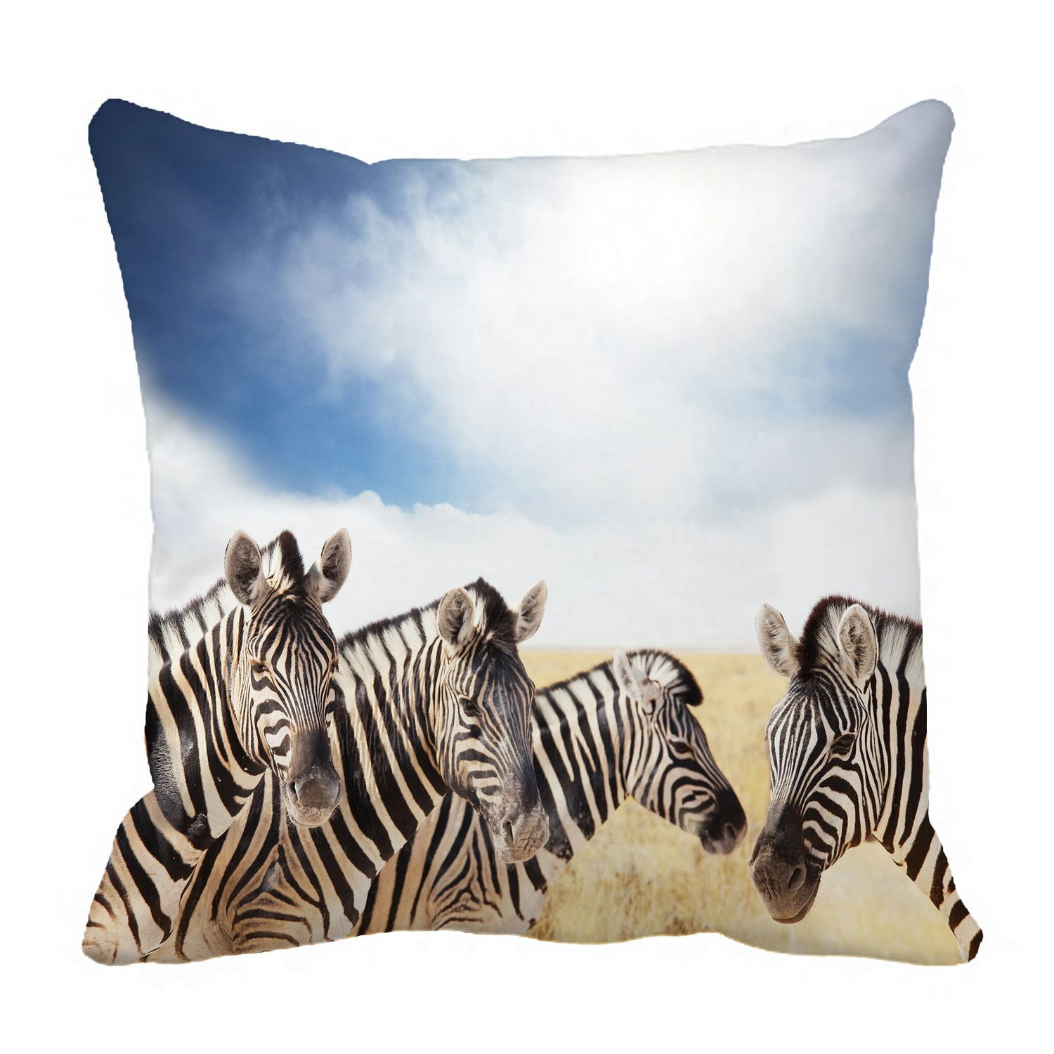 PHFZK Beautiful Sky Cloud Pillow Case, Funny Animal Safari Zebras Herd
