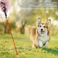 thumbnail image 3 of 3Pcs Interactive Cat Toys for Kitten & Dogs, Fun Play Cat Toy for Indoor Cats Outdoor, 3 of 4