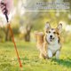thumbnail image 3 of 3Pcs Interactive Cat Toys for Kitten & Dogs, Fun Play Cat Toy for Indoor Cats Outdoor, 3 of 4