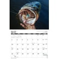 thumbnail image 3 of 2026 Bass Calendar, 3 of 3