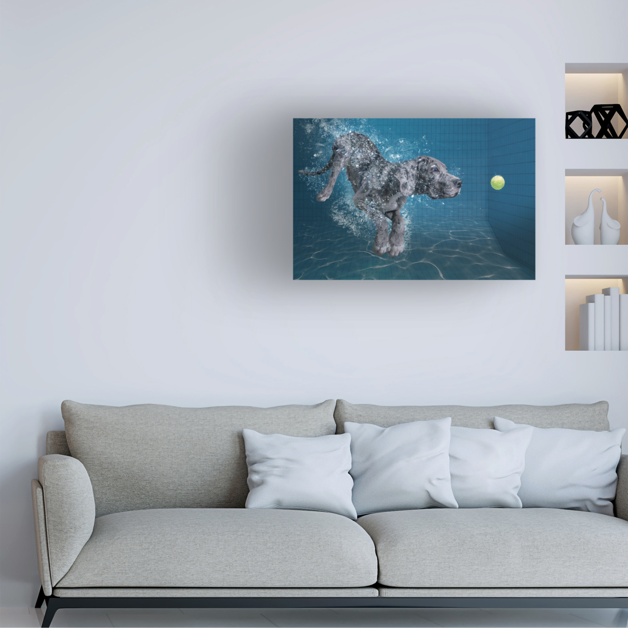 Trademark Fine Art Marcel Egger  SplashDog Canvas Wall Art