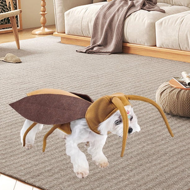 Disfraz de cucaracha para perros de Halloween, disfraces para mascotas, decorativo para perros y gatos, regalo, con antenas de de cucaracha, ropa