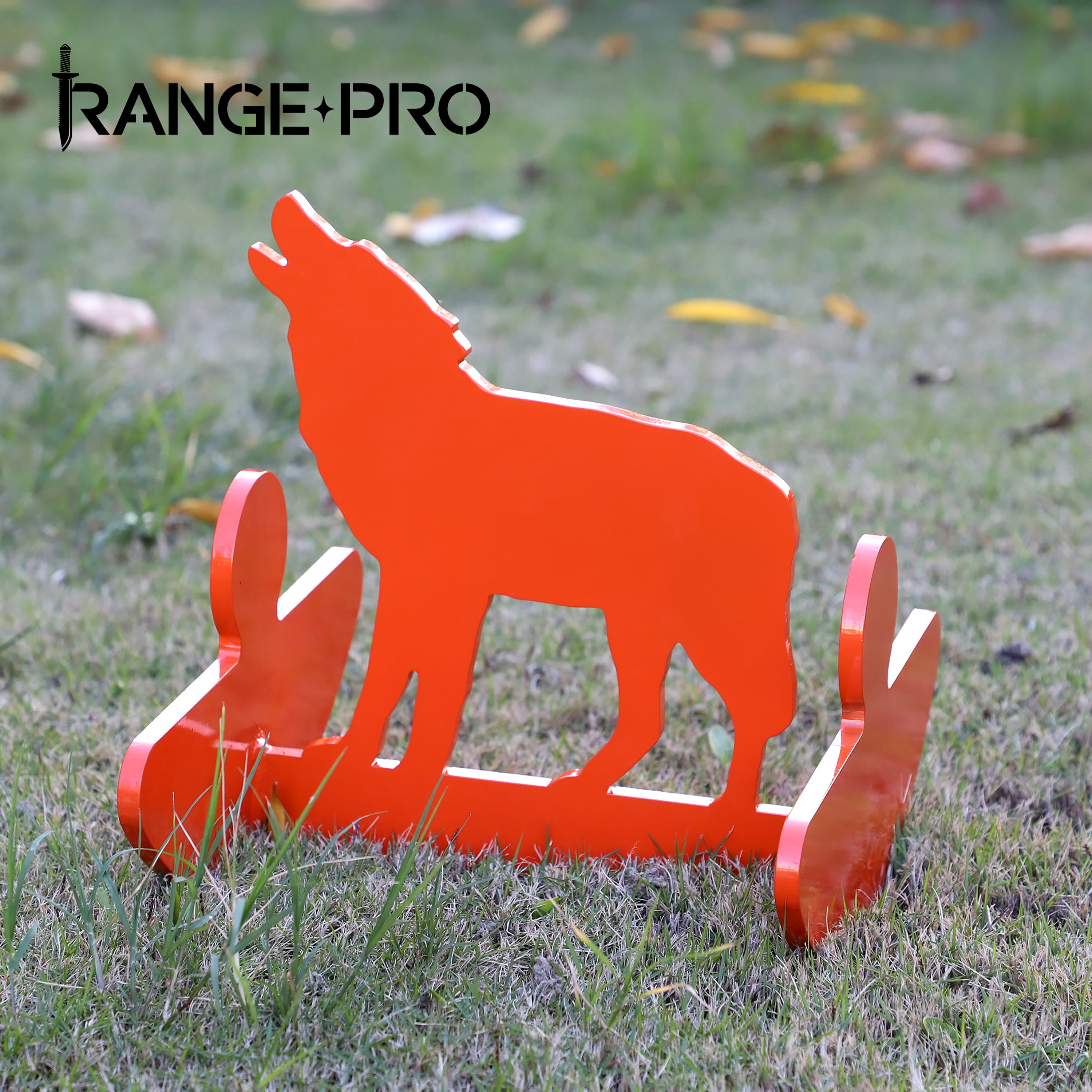 Coyote Rocking Target