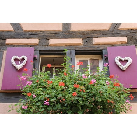 Shutters Window Boxes - LAMINATED POSTER Geranium Flower Box Purple Shutters Window Truss Poster Print 24 x 36