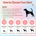 thumbnail image 2 of Pañales desechables para perros Ambreview para mujer S, 10 unidades, 2 of 8