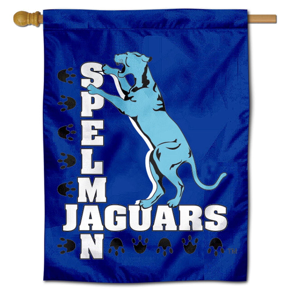 USA Jaguars Car and Auto Flag College Flags /& Banners Co